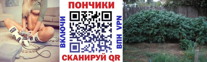 Где можно купить наркотики Тихорецк Alpha PVP Меф Гашиш МАРИХУАНА COCAIN