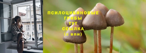 соль ск Армянск