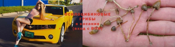 соль ск Армянск